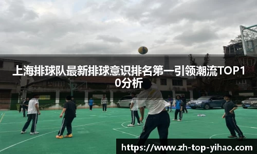 上海排球队最新排球意识排名第一引领潮流TOP10分析
